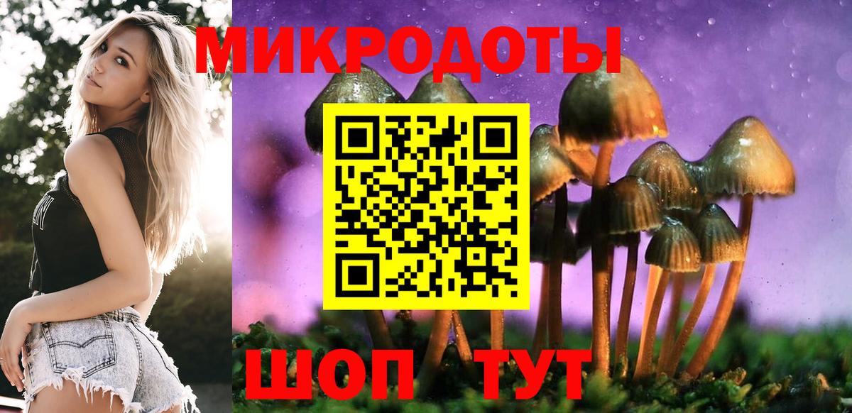 Псилоцибиновые грибы Psilocybine cubensis  Вход с VPN  Новоалтайск 